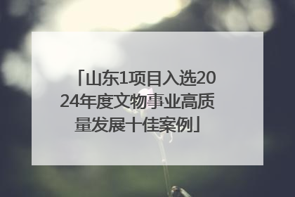 山东1项目入选2024年度文物事业高质量发展十佳案例