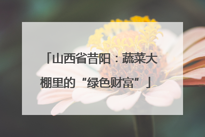 山西省昔阳：蔬菜大棚里的“绿色财富”