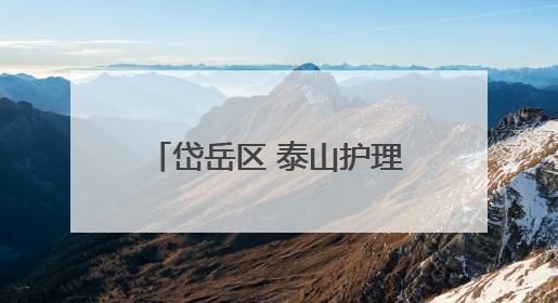 岱岳区 泰山护理职业学院校城融合暨书记、区长高校行活动在泰安举行