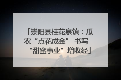 崇阳县桂花泉镇：瓜农“点花成金” 书写“甜蜜事业”增收经