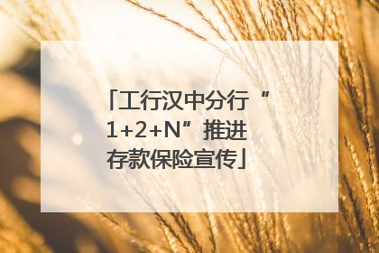工行汉中分行“1+2+N”推进存款保险宣传
