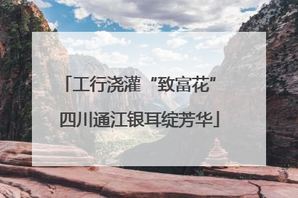 工行浇灌“致富花” 四川通江银耳绽芳华