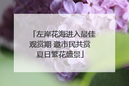 左岸花海进入最佳观赏期 邀市民共赏夏日繁花盛景