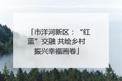 市洋河新区：“红蓝”交融 共绘乡村振兴幸福画卷