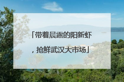 带着晨露的阳新虾，抢鲜武汉大市场