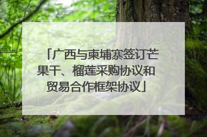 广西与柬埔寨签订芒果干、榴莲采购协议和贸易合作框架协议