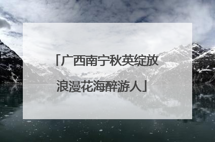 广西南宁秋英绽放 浪漫花海醉游人