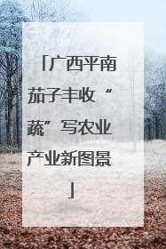 广西平南茄子丰收“蔬”写农业产业新图景