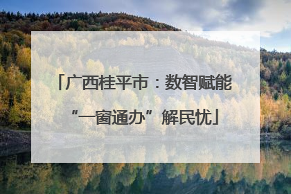 广西桂平市：数智赋能“一窗通办”解民忧