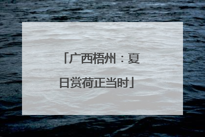 广西梧州：夏日赏荷正当时