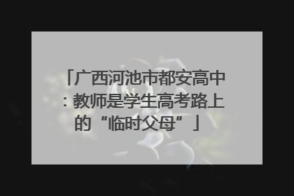 广西河池市都安高中：教师是学生高考路上的“临时父母”