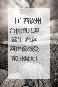 广西钦州台侨胞共迎端午 看运河建设感受家国强大