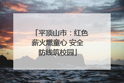 平顶山市：红色薪火燃童心 安全防线筑校园
