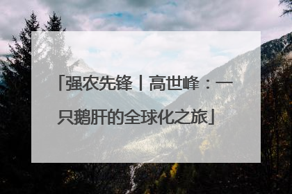强农先锋丨高世峰：一只鹅肝的全球化之旅