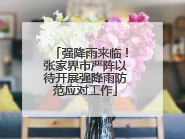 强降雨来临！张家界市严阵以待开展强降雨防范应对工作
