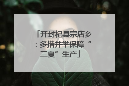 开封杞县宗店乡：多措并举保障“三夏”生产