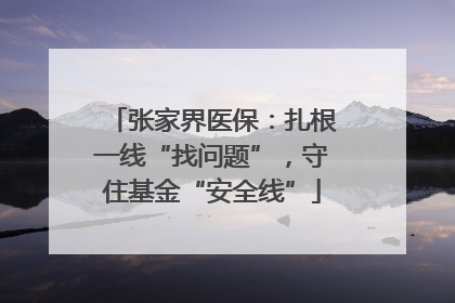 张家界医保：扎根一线“找问题”，守住基金“安全线”