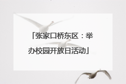 张家口桥东区：举办校园开放日活动