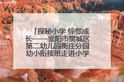 探秘小学 憧憬成长——襄阳市樊城区第二幼儿园衡庄分园幼小衔接班走进小学开展参观体验活动