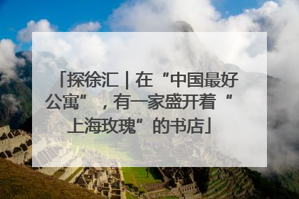 探徐汇｜在“中国最好公寓”，有一家盛开着“上海玫瑰”的书店