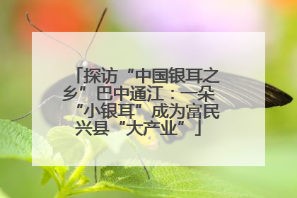 探访“中国银耳之乡”巴中通江：一朵“小银耳”成为富民兴县“大产业”