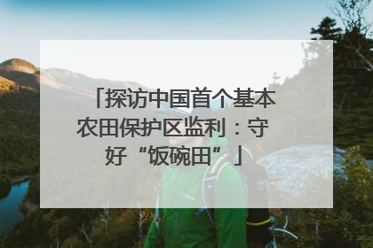 探访中国首个基本农田保护区监利：守好“饭碗田”