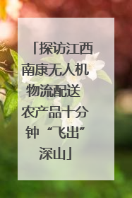 探访江西南康无人机物流配送 农产品十分钟“飞出”深山