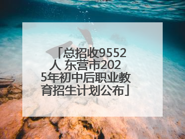 总招收9552人 东营市2025年初中后职业教育招生计划公布