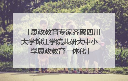 思政教育专家齐聚四川大学锦江学院共研大中小学思政教育一体化