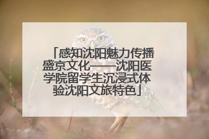 感知沈阳魅力传播盛京文化——沈阳医学院留学生沉浸式体验沈阳文旅特色