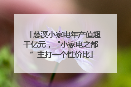慈溪小家电年产值超千亿元，“小家电之都”主打一个性价比