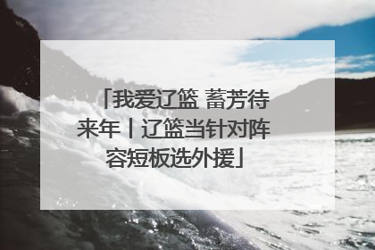 我爱辽篮 蓄芳待来年丨辽篮当针对阵容短板选外援
