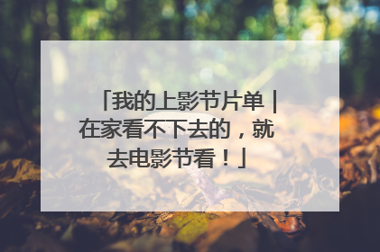 我的上影节片单｜在家看不下去的，就去电影节看！