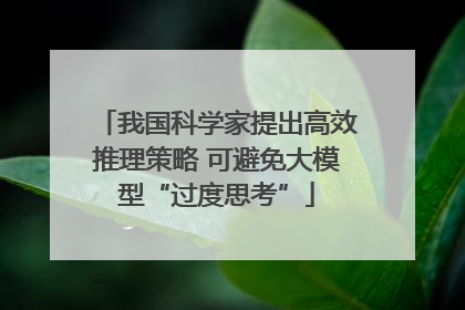 我国科学家提出高效推理策略 可避免大模型“过度思考”