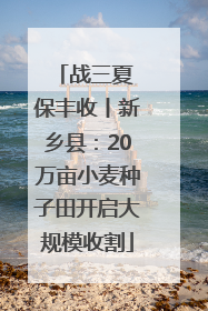 战三夏 保丰收丨新乡县：20万亩小麦种子田开启大规模收割