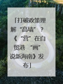 打破政策理解“高墙”？《“营”在自贸港 “画”说新海南》发布