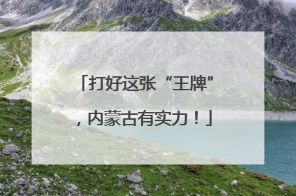 打好这张“王牌”，内蒙古有实力！