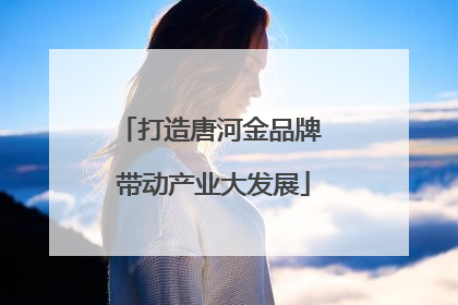 打造唐河金品牌 带动产业大发展