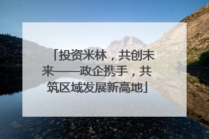 投资米林，共创未来——政企携手，共筑区域发展新高地