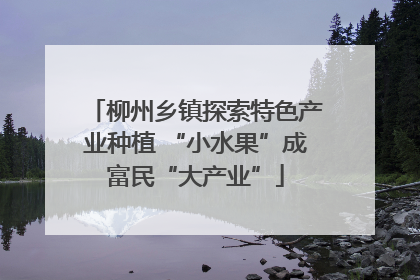柳州乡镇探索特色产业种植 “小水果”成富民“大产业”