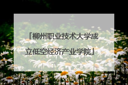 柳州职业技术大学成立低空经济产业学院