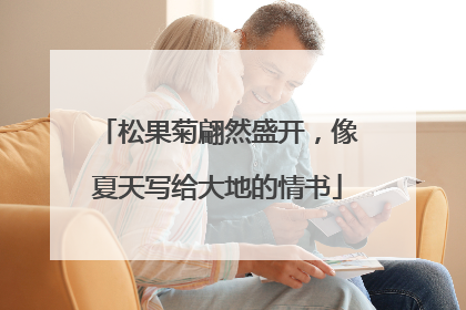 松果菊翩然盛开，像夏天写给大地的情书
