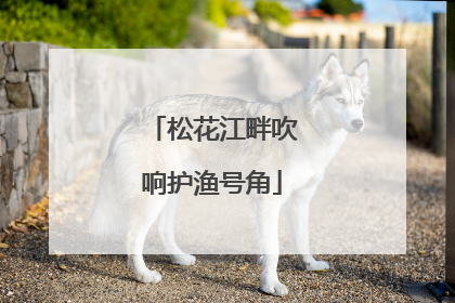 松花江畔吹响护渔号角
