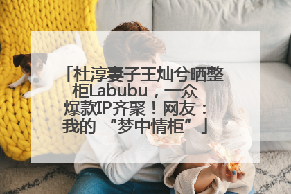 杜淳妻子王灿兮晒整柜Labubu，一众爆款IP齐聚！网友：我的 “梦中情柜”