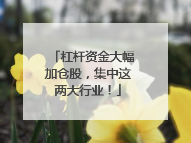 杠杆资金大幅加仓股，集中这两大行业！