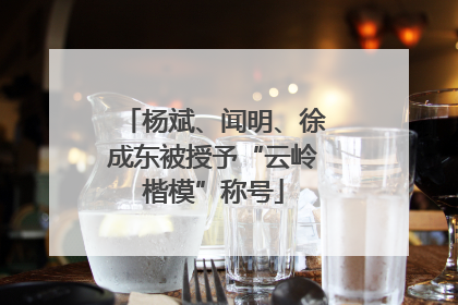 杨斌、闻明、徐成东被授予“云岭楷模”称号