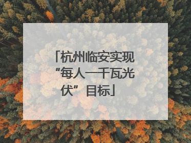 杭州临安实现“每人一千瓦光伏”目标