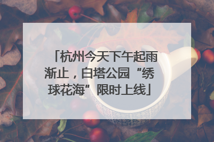 杭州今天下午起雨渐止，白塔公园“绣球花海”限时上线