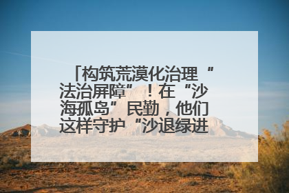 构筑荒漠化治理“法治屏障”！在“沙海孤岛”民勤，他们这样守护“沙退绿进”的生态奇迹