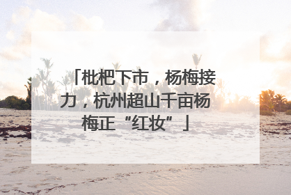 枇杷下市，杨梅接力，杭州超山千亩杨梅正“红妆”